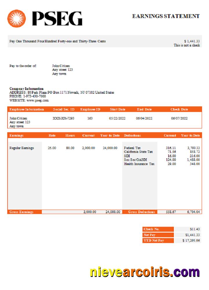 USA PSEG utilities company pay stub